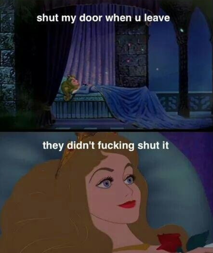 40 Inappropriate Disney Memes That Will Make Any Princess Laugh For ...